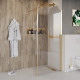 Душевая перегородка Niagara Nova NG-644-90 GOLD 90x195 профиль золото, стекло прозрачное в современном стиле