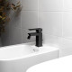 Смеситель для биде Paini Dax-R 84PZ306R черный матовый однорычажный, длина излива 11.3 см