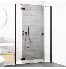 Душевая дверь в нишу Radaway Essenza New Black DWJS 120 L распашная, стекло прозрачное
