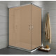 Душевой уголок Radaway Premium Plus D 80x120x190 коричневое стекло прямоугольный, двери раздвижные
