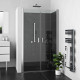 Душевая дверь Roth LEGA LIFT 100х195 профиль хром, стекло прозрачное, распашная