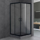 Душевой уголок Royal Bath HPD RB9110HPD-T-BL 110x90 прямоугольный, двери раздвижные