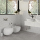 RINGO Унитаз подвесной Белый S1 (WC.WH/Ringo/DM/WHT.G/S1)