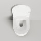 Salini GEMELLI Крышка для унитаза 473х410х55 мм S-Stone матовый цвет белый 260221M