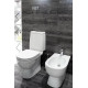 Унитаз-компакт Sanita luxe Fest SL DM белый, овальный, 34.4x61.8 см