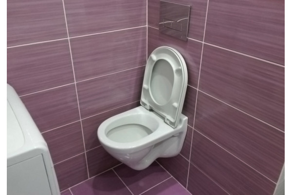 Унитаз подвесной Sanita luxe Attica luxe с микролифтом, белый, овальный, 34x49 см