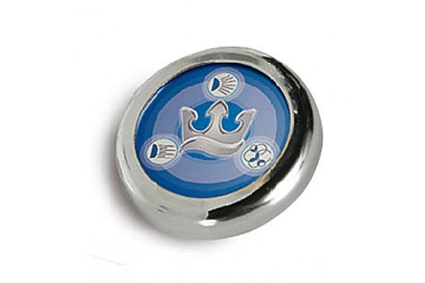 Пульт управления Triton