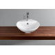 Рукомойник VitrA Options 6166B003-0001 46 см полукруглая, цвет белый