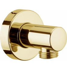 Шланговое подключение Webert Comfort AC0344010 золото в современном стиле