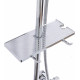 Душевая стойка Weltwasser WW TS 5280 хром штанга 56 см, шланг 150 см