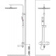 Душевая стойка Weltwasser WW TS 5280 хром штанга 56 см, шланг 150 см