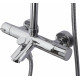Душевая стойка Weltwasser WW TS 6270 хром штанга 56 см, шланг 150 см