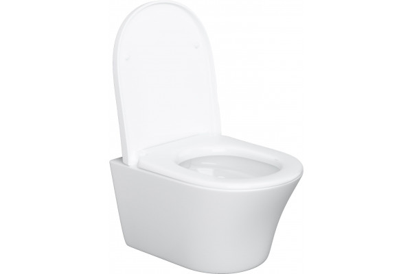 Унитаз подвесной Damixa Skyline DX35C1700SC с микролифтом, белый, овальный, 36.5x48.5 см