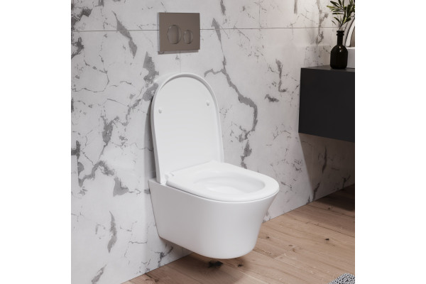 Унитаз подвесной Damixa Skyline DX35C1700SC с микролифтом, белый, овальный, 36.5x48.5 см