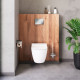 Унитаз подвесной Damixa Apollo DX22C1700SC с микролифтом, безободковый, 36x53 см