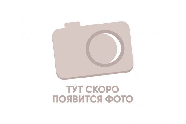 17006 Электрический тэн с терморегулятором (Хром) Bronze de Luxe