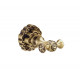 K25205 Двойной крючок WINDSOR Bronze de Luxe