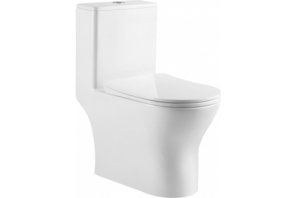 Унитаз-моноблок BelBagno Lounge BB8618CPR-MN/SC безободковый, с микролифтом