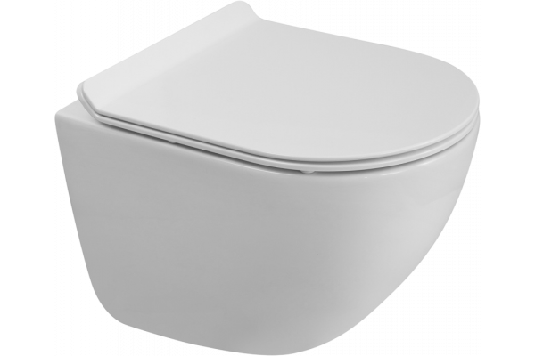 Унитаз подвесной BelBagno Amanda BB051CH-TOR-FC безободковый, крышка BB2011SC с микролифтом