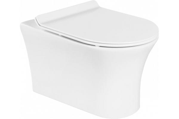Унитаз подвесной BelBagno Ancona BB1224CHR-SM безободковый, с микролифтом