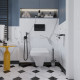 Ершик DEKOR BANYO SS 304 Black SS304 6009 04