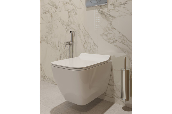 Ершик DEKOR BANYO Toilet Brushes 6001 01 02, хром