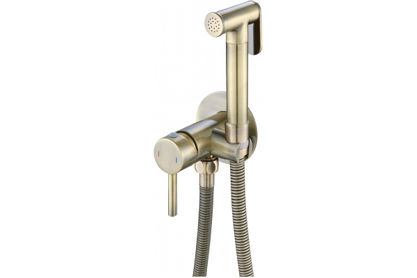 Гигиенический душ Haiba HB5511-4 со смесителем, бронза