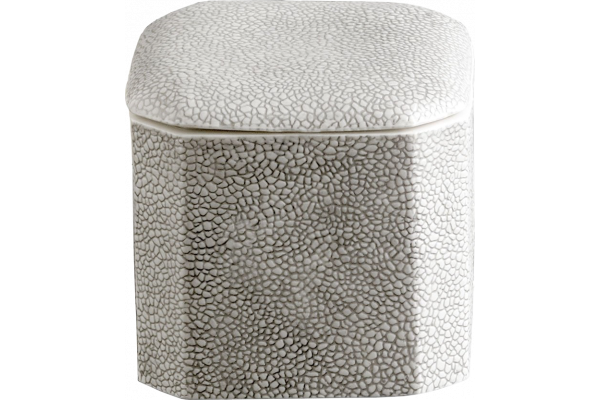 Контейнер Kassatex Shagreen ASG-CJ