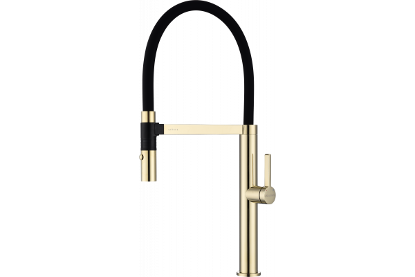 Смеситель для кухни Paulmark Leader Le214101-G, с гибким изливом, золото
