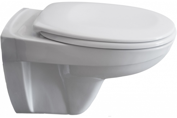 Унитаз подвесной Pestan Fluenta Basic 40006460