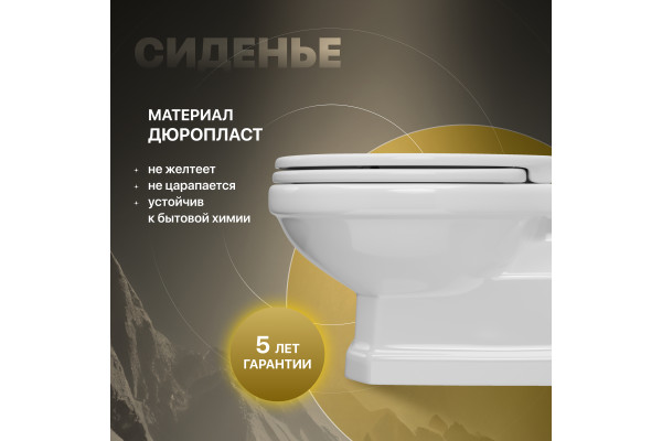 Унитаз подвесной STWORKI Драммен HDC609WH с микролифтом