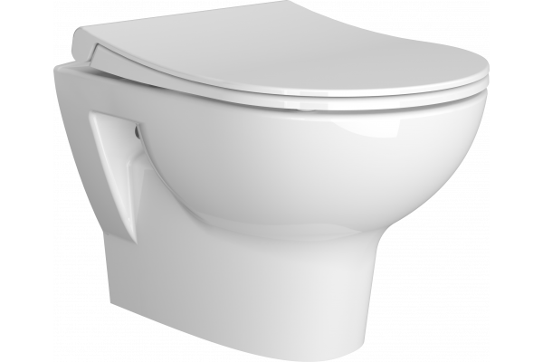 Унитаз подвесной VitrA Zentrum 5795B003-6077 безободковый, с микролифтом